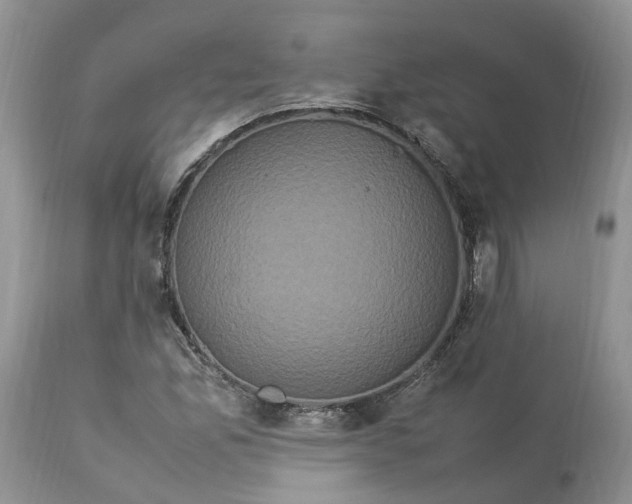 X0000113071165200909110933