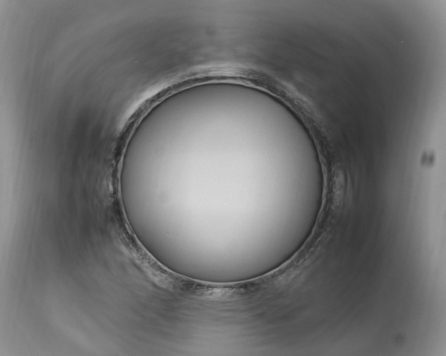 X0000113071166200909110933