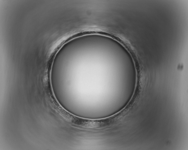 X0000113071167200909110933