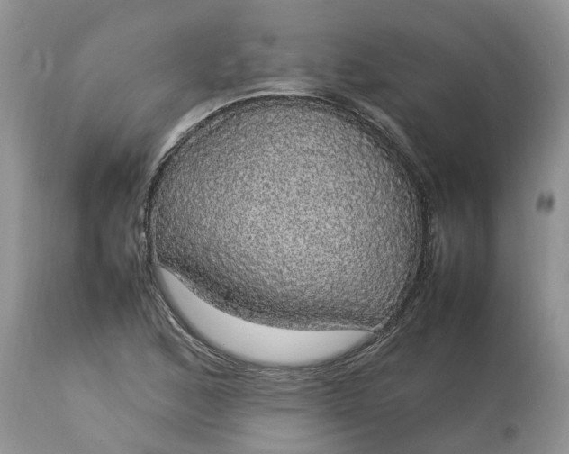 X0000113071168200909110933