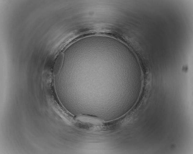 X0000113071169200909110933