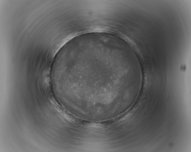 X0000113071170200909110933