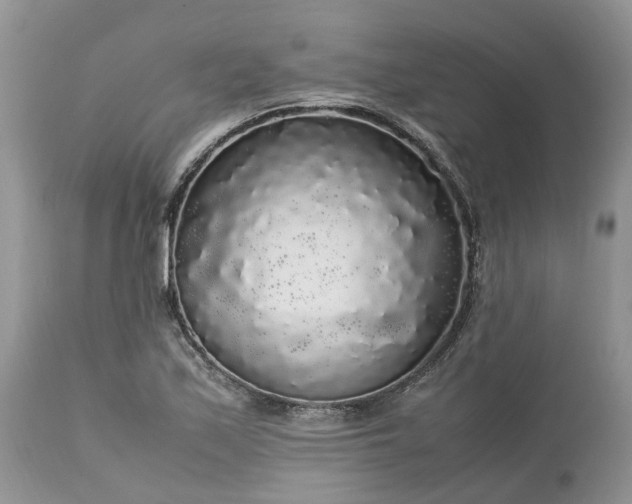 X0000113071171200909110933