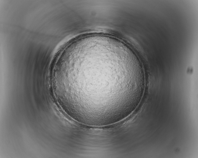 X0000113071172200909110933