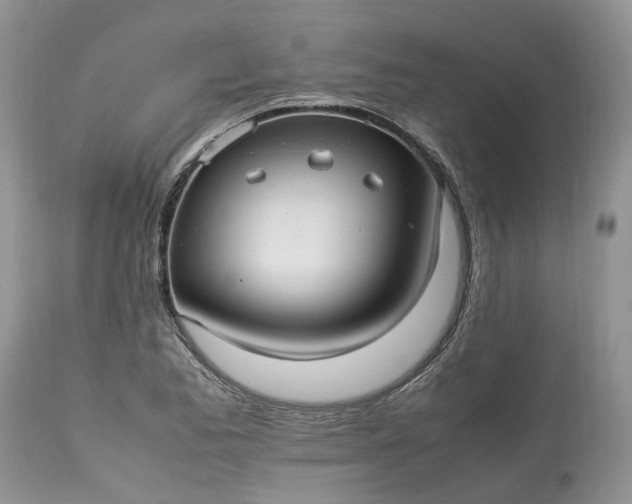 X0000113071173200909110933