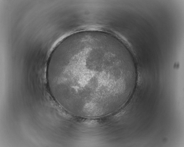 X0000113071174200909110933