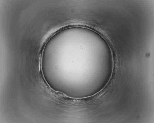 X0000113071175200909110933