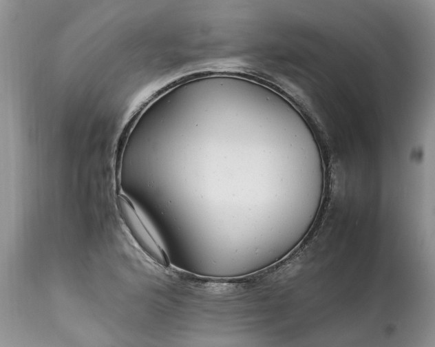 X0000113071176200909110933