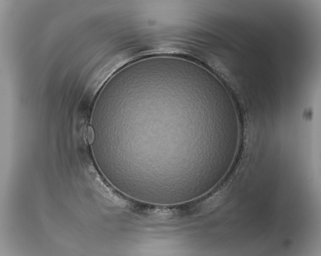 X0000113071177200909110933