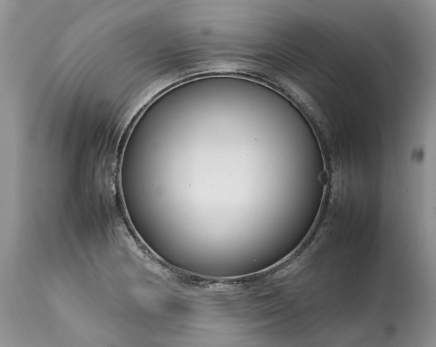 X0000113071178200909110933