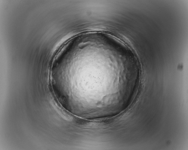 X0000113071179200909110933