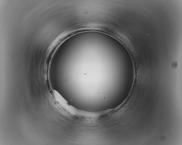 X0000113071180200909110933