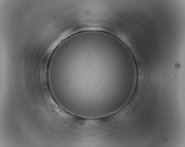 X0000113071181200909110933