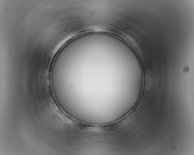 X0000113071182200909110933