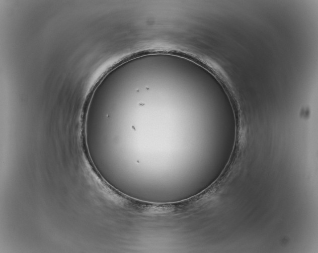 X0000113071183200909110933