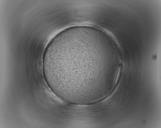 X0000113071184200909110933