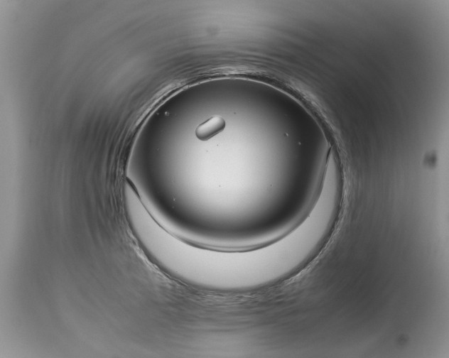 X0000113071185200909110933