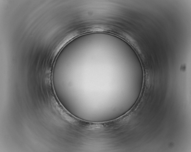 X0000113071186200909110933