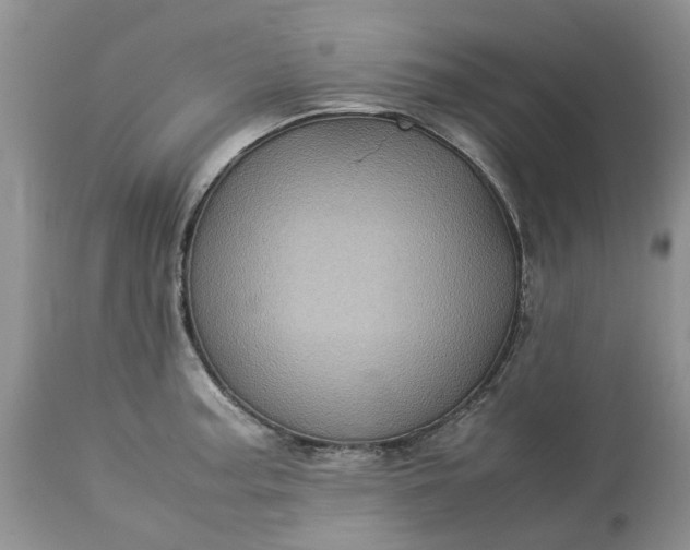 X0000113071187200909110933