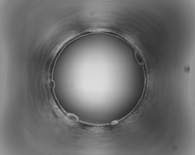 X0000113071189200909110933