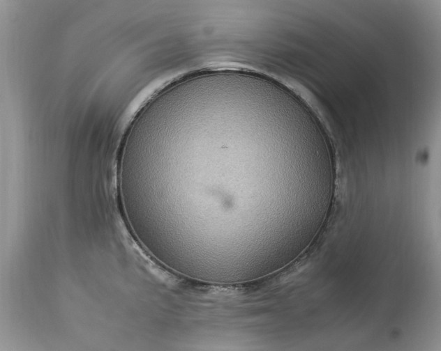 X0000113071191200909110933