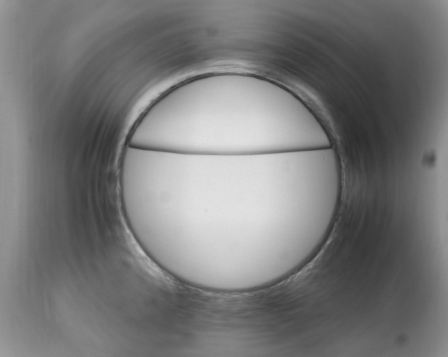 X0000113071192200909110933