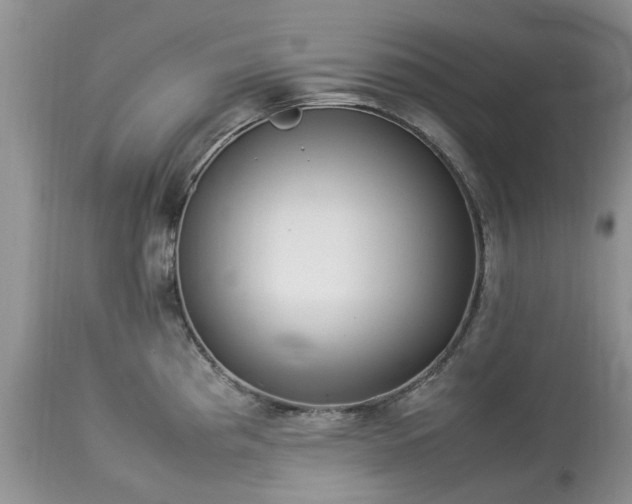 X0000113071193200909110933