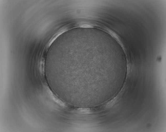 X0000113071194200909110933