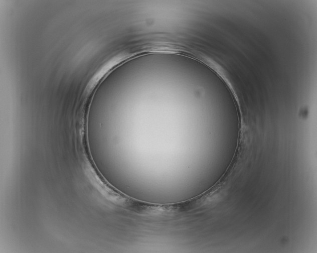 X0000113071195200909110933