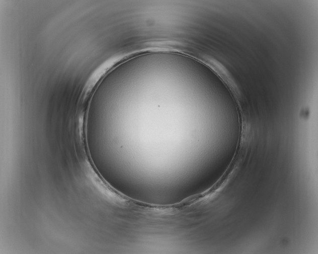 X0000113071196200909110933