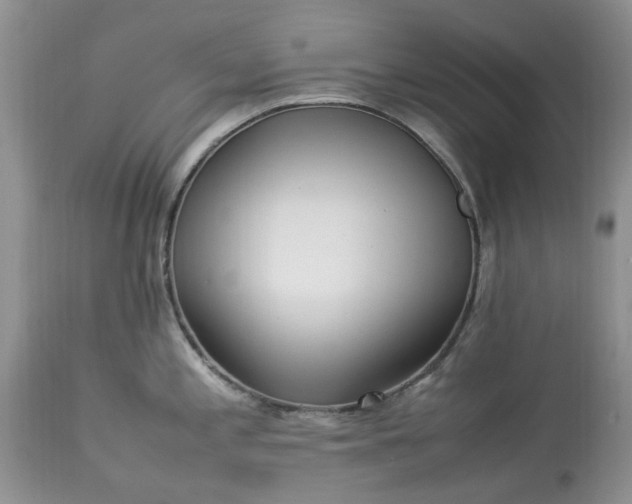 X0000113071197200909110933