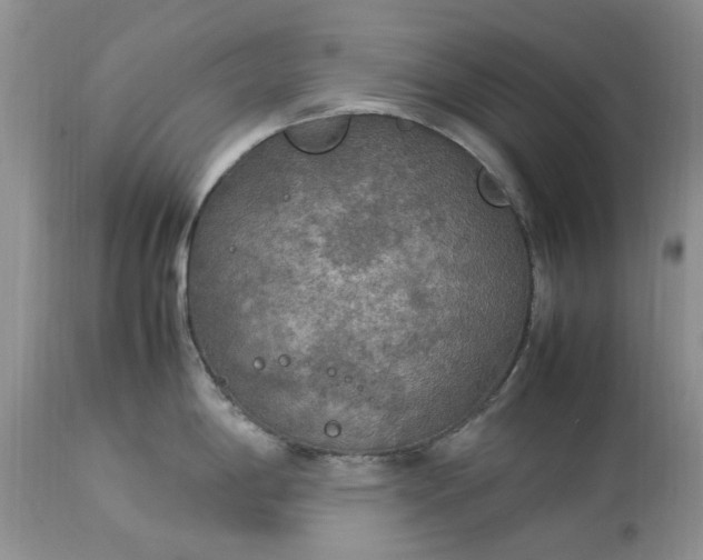 X0000113071198200909110933