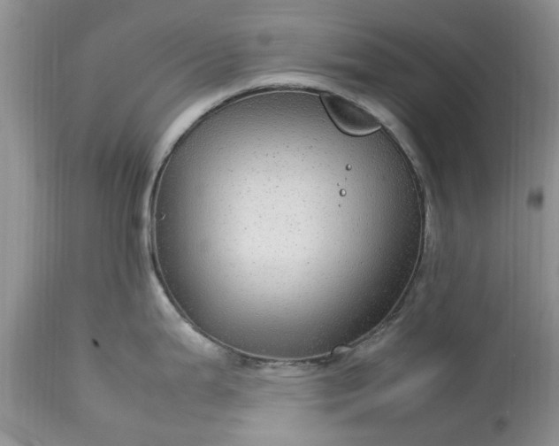 X0000113071199200909110933