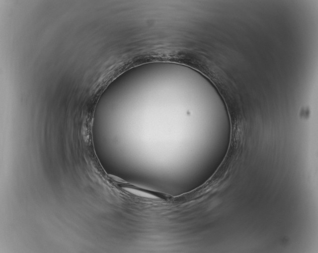 X0000113071202200909110932