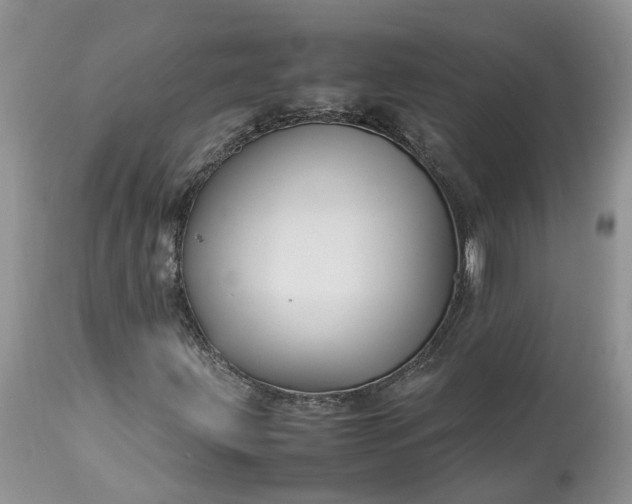 X0000113071203200909110932