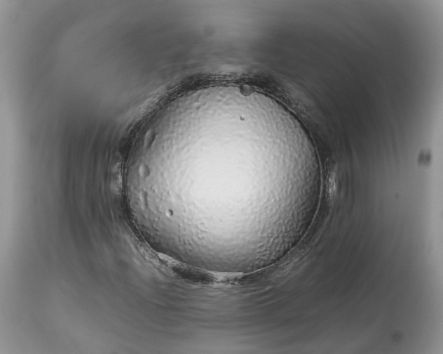 X0000113071204200909110932