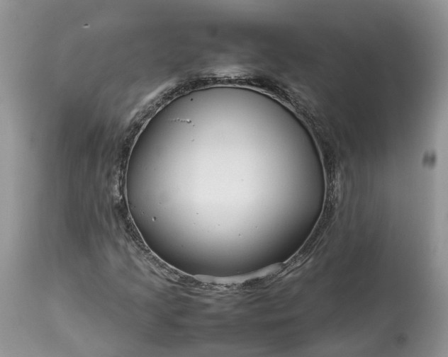 X0000113071205200909110932