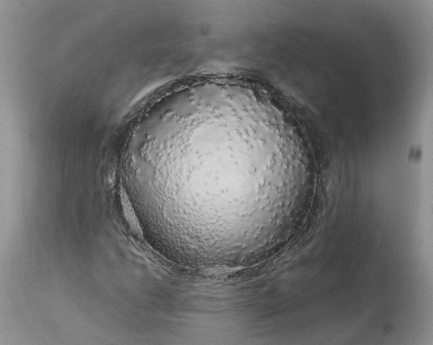 X0000113071206200909110932