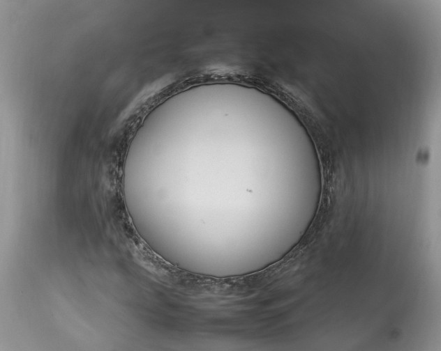 X0000113071207200909110932