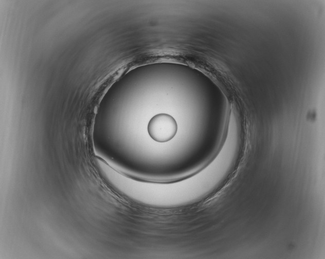 X0000113071209200909110932