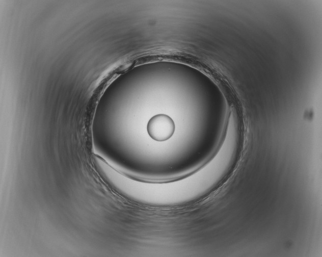 X0000113071210200909110932