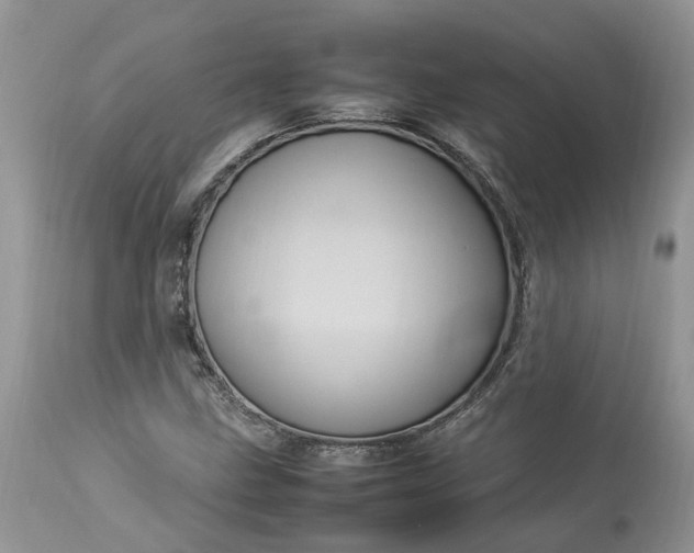 X0000113071211200909110932