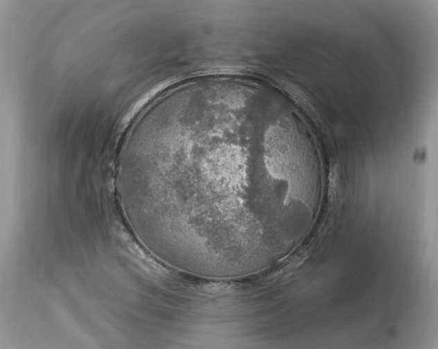 X0000113071212200909110932