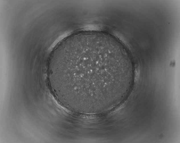 X0000113071213200909110932