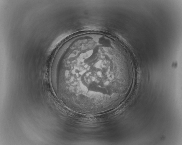 X0000113071215200909110932