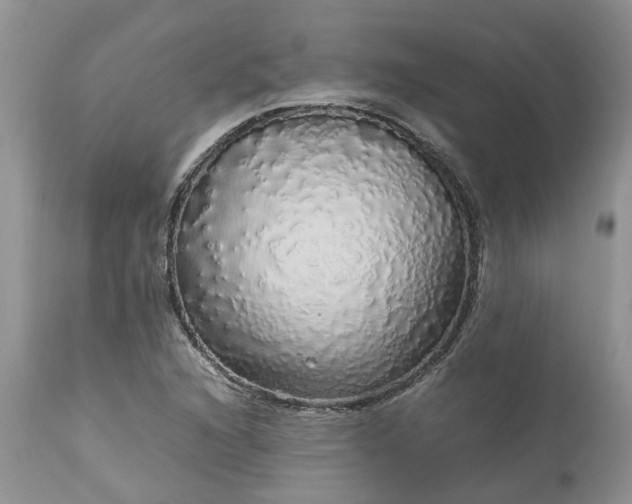 X0000113071216200909110932