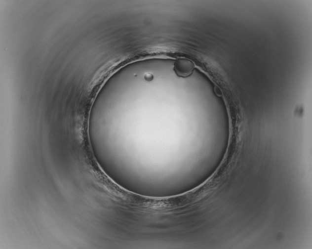 X0000113071217200909110932