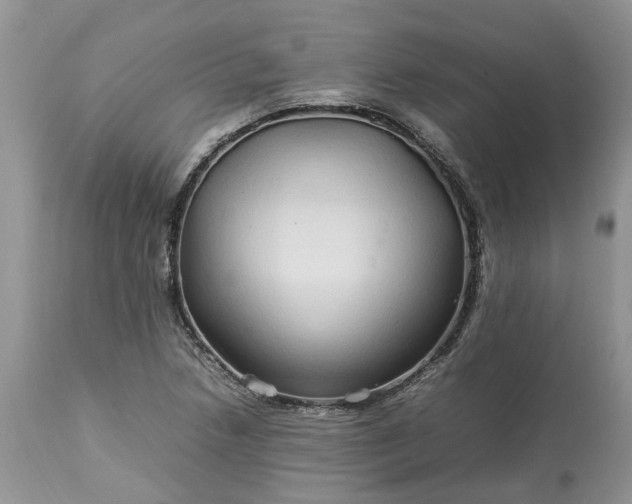 X0000113071218200909110932