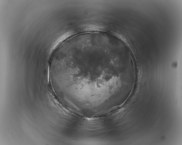 X0000113071219200909110932