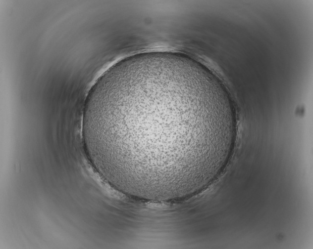 X0000113071220200909110932